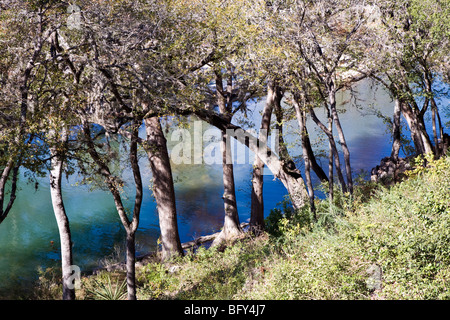 La Guadalupe è uno dei tratti più belli del fiume in Hill Country Gruene Texas USA Foto Stock