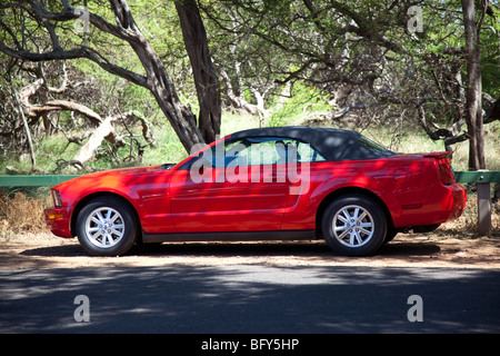 Red Mustang convertibile, Maui, Hawaii Foto Stock