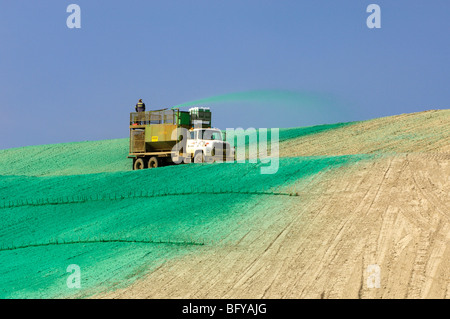 Vale scoria pila ri-greening progetto. Fase 2- idro-seeding piste, maggiore Sudbury, Ontario, Canada Foto Stock