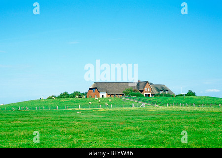 Tumulo di abitazione su Langeness Holm, costa del Mare del Nord, Nord Friesland, Schleswig-Holstein, Germania Foto Stock