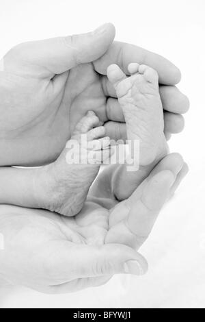 Una fotografia in bianco e nero di un neonato Bambino caucasico i piedi di essere cullato nel suo padre le mani Foto Stock