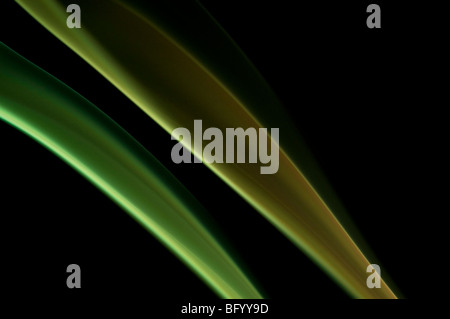 Fumo colorato, forme diverse figure e colori su sfondo nero. Foto Stock