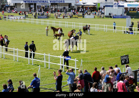 A giudicare del pony concorsi nell'anello principale al 2009 Royal Highland Show, Edimburgo. Foto Stock
