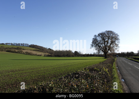 Un4155 e Chiltern Hills vicino a Hambleden Buckinghamshire Foto Stock