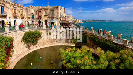 Greco Fontana Aretusa - Siracusa ( Siracusa) , Sicilia Foto Stock