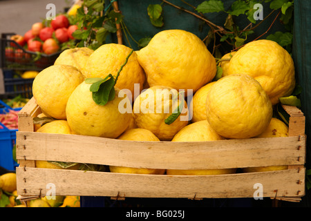 Amalfi di limoni in un mercato - Positano, Italia Foto Stock