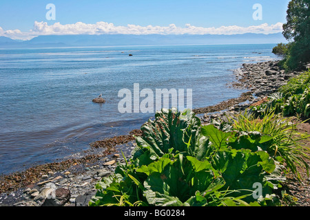 Stretto di Juan de Fuca e montagne olimpiche visto da Sooke Harbour House. Isola di Vancouver, British Columbia, Canada. Foto Stock