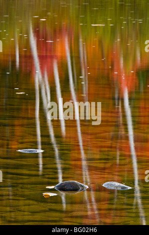 Autunno riflessioni in Little White River, ponte in ferro di Elliot sul Lago Ontario, Canada Foto Stock
