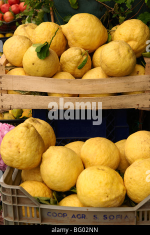 Amalfi di limoni in un mercato - Positano, Italia Foto Stock