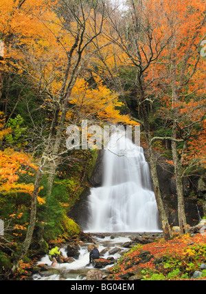 Fotografi di Moss Glen Falls, Granville, Vermont Foto Stock