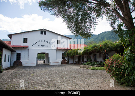 Beneficio de Cafe La Azotea, Jocotenango Antigua, Guatemala Foto Stock