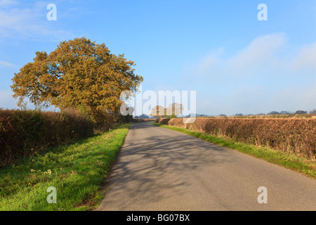 Vicolo del paese e cielo blu, albero e ordinata hedge incandescente in autunno la luce, nebbia bassa e il cloud clearing, Warwickshire, Regno Unito Foto Stock
