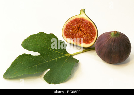 Comune Fig (Ficus carica), intero e una metà del frutto con frutta, studio immagine. Foto Stock