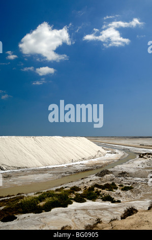 Cumulo di sale di mare essiccato a Salins-de-Giraud, Camargue, Provenza, Francia Foto Stock