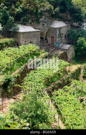 Vigneti di Amalfi nelle alte montagne della costiera amalfitana intervallo Foto Stock