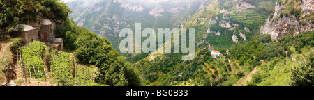 Vigneti di Amalfi nelle alte montagne della costiera amalfitana intervallo Foto Stock