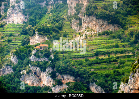 Vigneti di Amalfi nelle alte montagne della costiera amalfitana intervallo Foto Stock