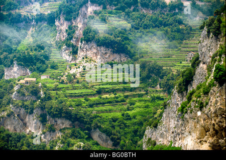 Vigneti di Amalfi nelle alte montagne della costiera amalfitana intervallo Foto Stock