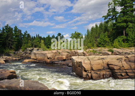 Pabineau cade e il fiume Pabineau acceso buttato indossato scogliere in Eastern New Brunswick con abeti rossi e pini. Foto Stock