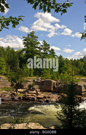 Pabineau cade e il fiume Pabineau acceso buttato indossato scogliere in Eastern New Brunswick con abeti rossi e pini. Foto Stock