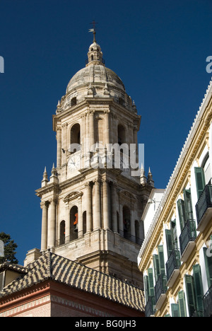 Catedral del Encarnacion (La Manquita), l'unica torre campanaria, la Cattedrale di Malaga, in Andalusia, Spagna, Europa Foto Stock