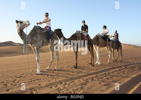Passeggiate a dorso di cammello nel deserto del Sahara Foto Stock