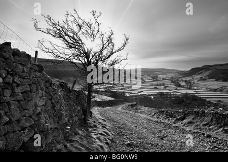 La vista dalla testa a camma, Kettlewell, nell Alto Wharfedale, Yorkshire Dales National Park, North Yorkshire, Regno Unito Foto Stock