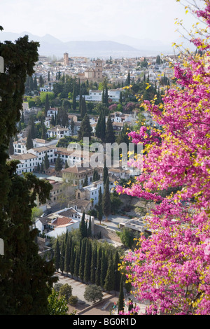 Vista da giardini del Generalife al quartiere Albaicin, Granada, Andalusia (Andalusia), Spagna, Europa Foto Stock