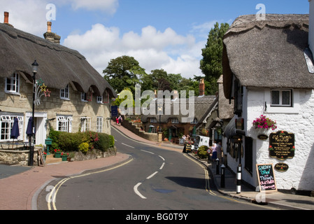 Case in paglia, teashop e pub, Shanklin, Isle of Wight, England, Regno Unito, Europa Foto Stock