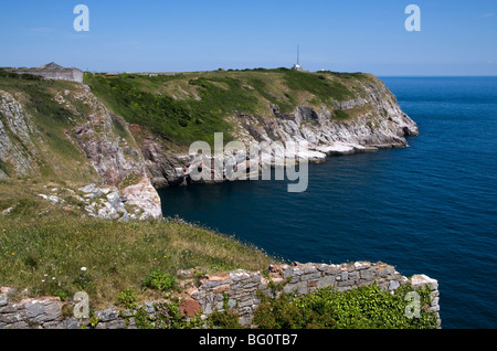 Berry Head, Brixham, Torbay, South Devon, Inghilterra, Regno Unito, Europa Foto Stock