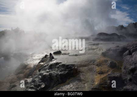 Pohutu geyser di acqua di cottura a vapore dal fango solforoso in Te Puia, Riserva Termale di Whakarewarewa, Rotorua, Isola del nord, Nuova Zelanda Foto Stock