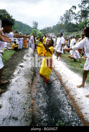 Camminare sul fuoco nel villaggio di Manjacombi nel sud dello stato indiano del Tamil Nadu. Camminare sul fuoco è un rituale importante praticato da alcune sezioni della società indù. Camminare sul fuoco è un atto di auto-purificazione. Per alcuni devoti è una parte di un voto in cui il devoto promette di camminare sul fuoco in cambio di un desiderio o benedizione concessa da Amman. Amman è un importante divinità femminile associati con il Shakti cult nel sud indiana Tamil e cultura. Foto Stock