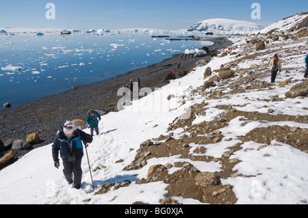 Brown Bluff, Penisola Antartica, Antartide, regioni polari Foto Stock