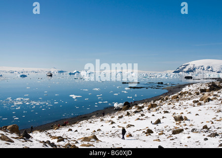 Brown Bluff, Penisola Antartica, Antartide, regioni polari Foto Stock