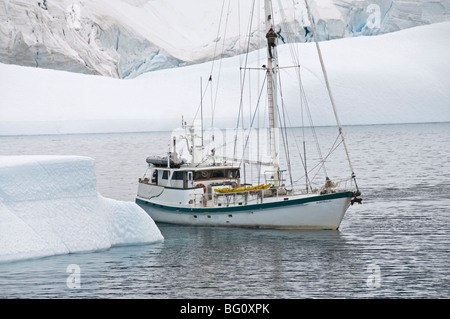 Yacht a vela e iceberg, Errera Channel, Penisola Antartica, Antartide, regioni polari Foto Stock