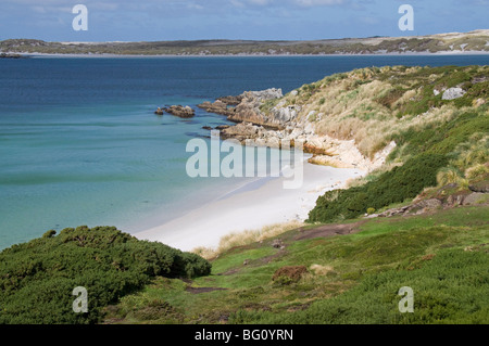 Gypsy Cove, Yorke Bay, Port Stanley nelle isole Falkland, Sud America Foto Stock