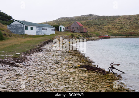 West Point Island, Isole Falkland, Sud America Foto Stock