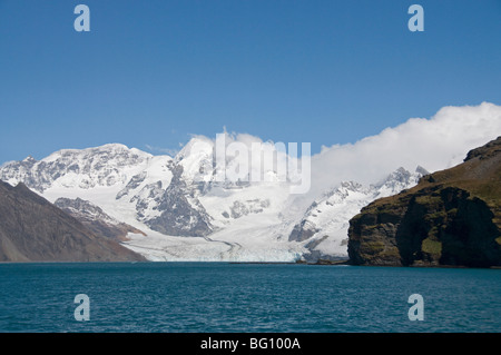 Ghiacciaio, Royal Bay, Georgia del Sud Atlantico Foto Stock