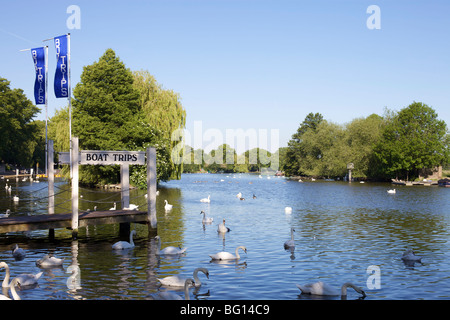 Il fiume Tamigi, Windsor, Berkshire, Inghilterra, Regno Unito, Europa Foto Stock