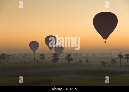 Un sacco di mongolfiere volare sopra il deserto di sunrise a ovest del fiume Nilo vicino a Luxor, Egitto, Africa Settentrionale, Africa Foto Stock