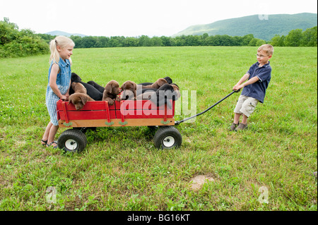 Kids tirando i cuccioli in un carro Foto Stock