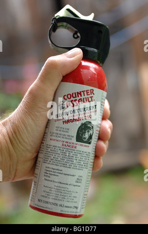 bomboletta spray per orso Foto stock - Alamy