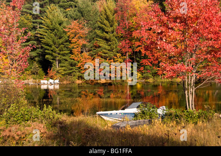 Brillante Nuova Inghilterra fogliame di autunno riflette il suo colore in un piccolo lago nello stato di New York, Stati Uniti d'America. Foto Stock