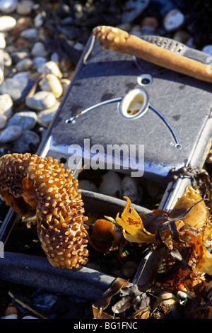 Il pannello anteriore dal PC lavato fino sulla spiaggia con alghe marine Foto Stock