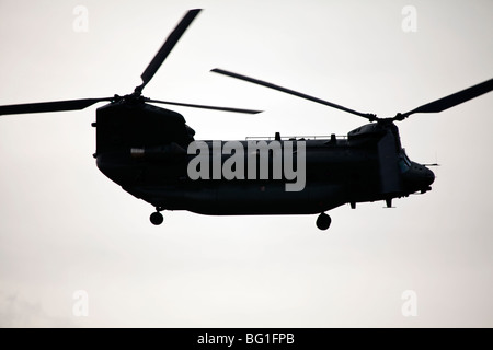 CH-47 elicottero Chinook in volo per la RAF a Donna Nook, Somercoates, lincolnshire, Inghilterra Foto Stock