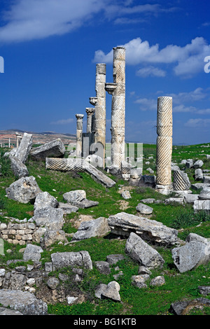 Antica città Apamea (Apameia, Afamia), Siria Foto Stock