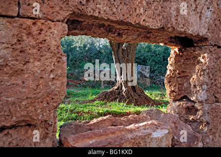 Baude, Siria Foto Stock