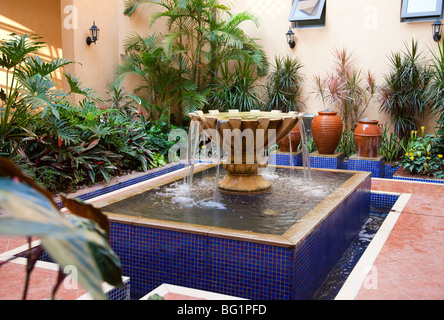 Impianti e fontana in un nuovo stile di cortile in Cina Foto Stock