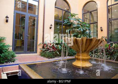 Impianti e fontana in un nuovo stile di cortile in Cina Foto Stock