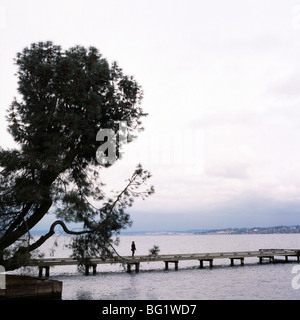 La donna si erge sul dock accanto al pino, il Lago Washington, Seattle, nello Stato di Washington, Stati Uniti d'America, America del Nord Foto Stock